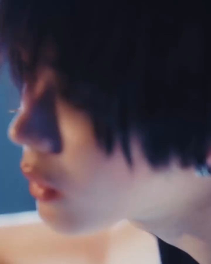 고사리 tweet media