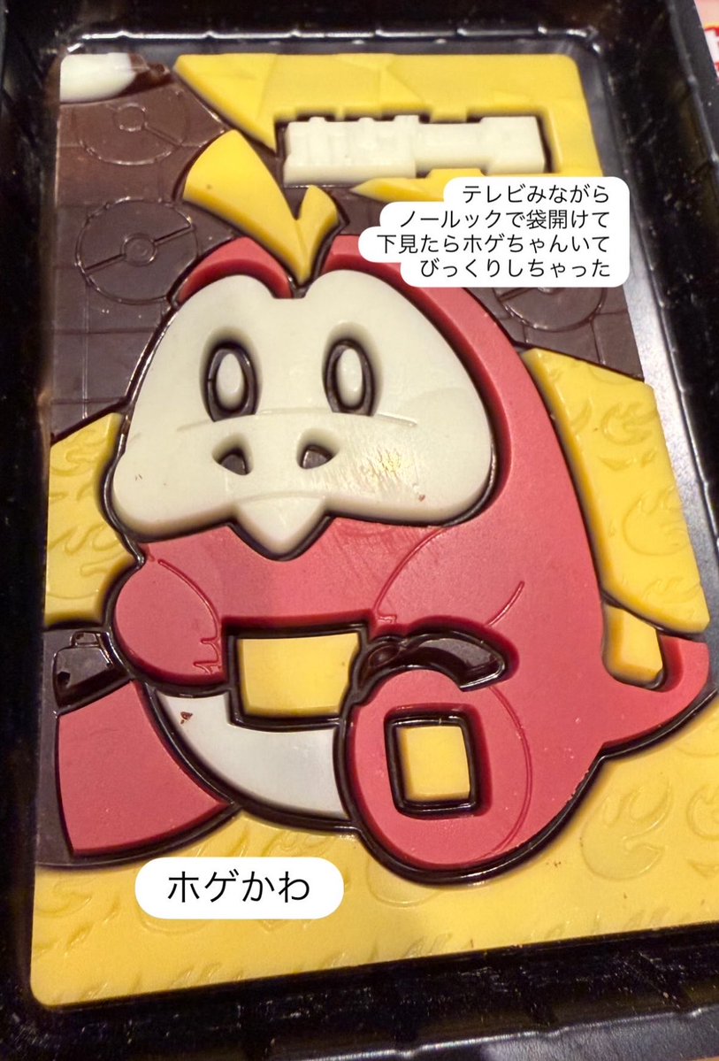 ケモピ(+1.0kg) tweet media