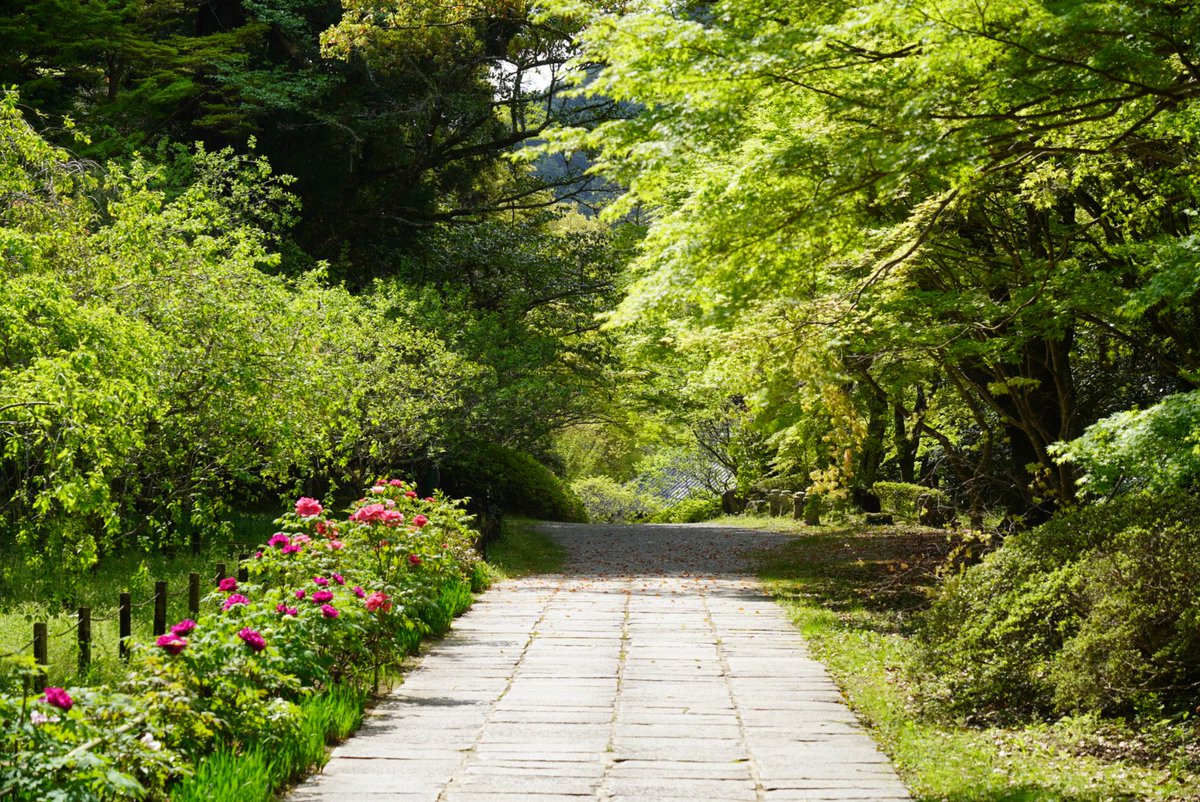 高野山真言宗 遺跡本山 観心寺 tweet media