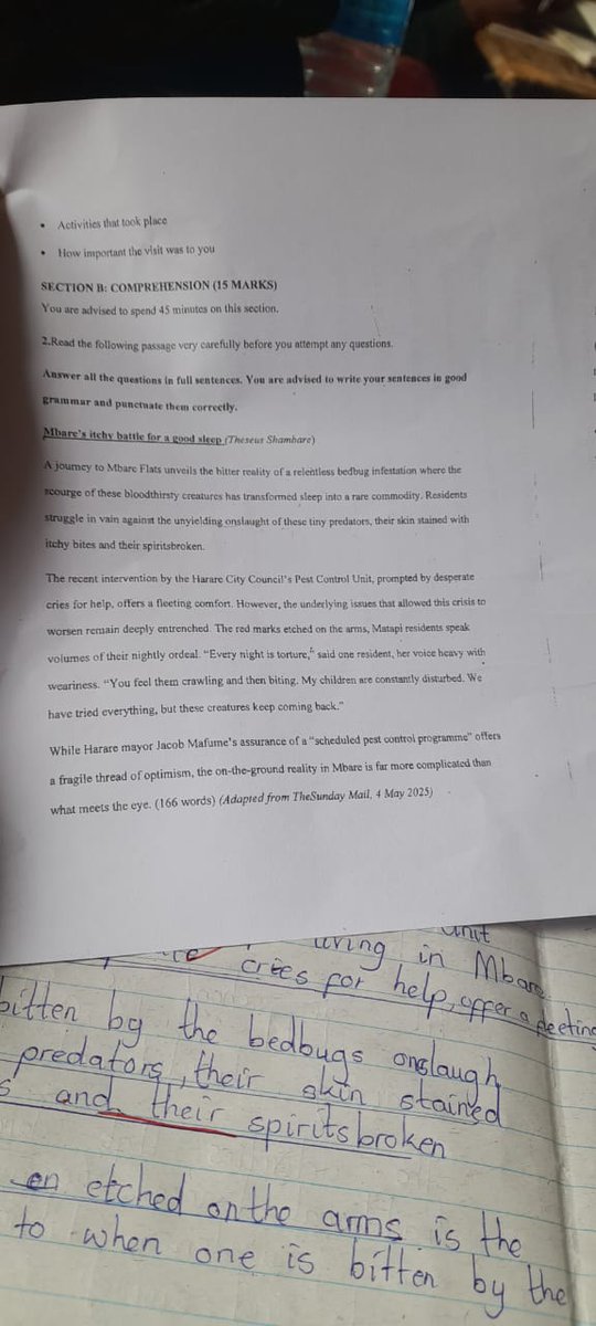 Theseus Shambare tweet media