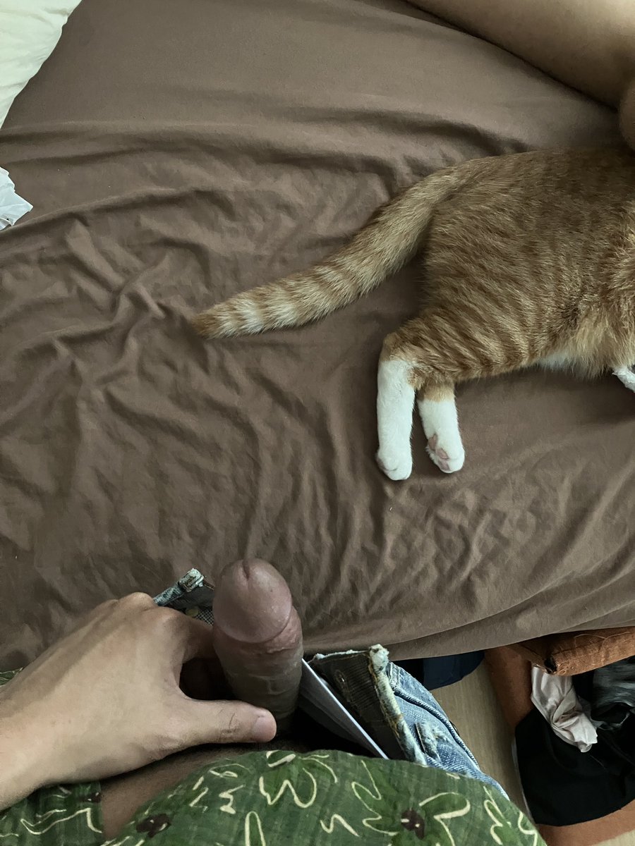 la chamade tweet media