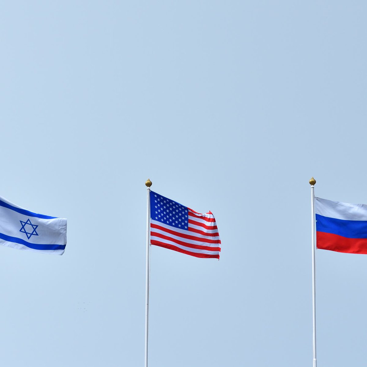 S. Blackwood | Briefs tweet media