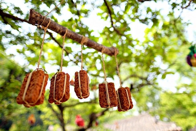 Jason Floyd tweet media