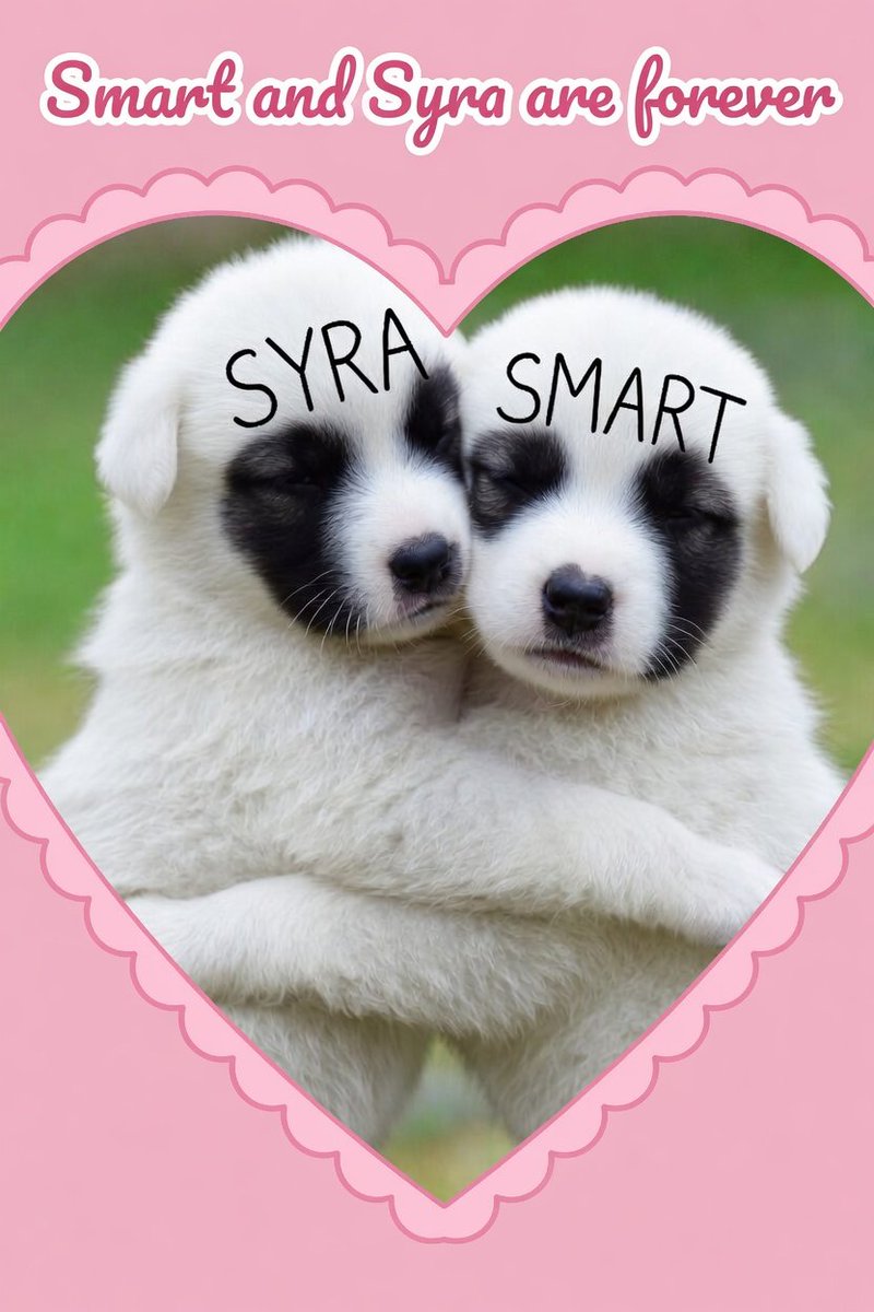 CSNP heart of a winner 🏆 tweet media