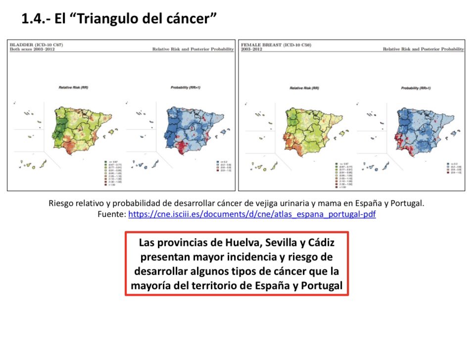 Quienes vivimos en Huelva, Sevilla y Cádiz estamos expuestas a mayor riesgo de cáncer de vejiga urinaria y mama que el resto de España y Portugal. Hace falta un estudio epidemiológico con perspectiva ambiental para aclarar esto. Está relacionado con los metales de las minas?