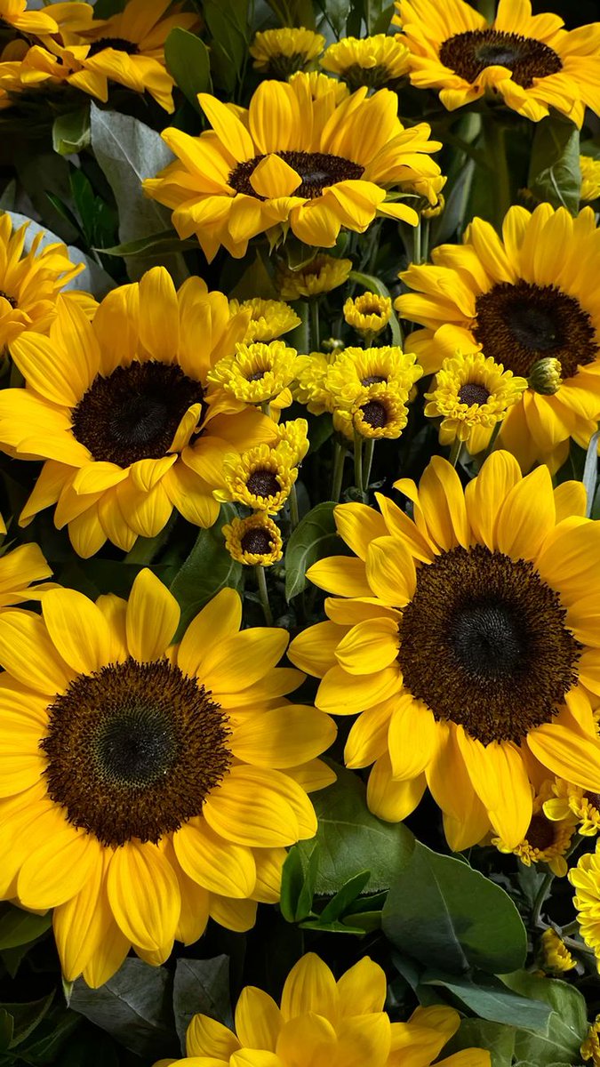 sarah ayu tweet media