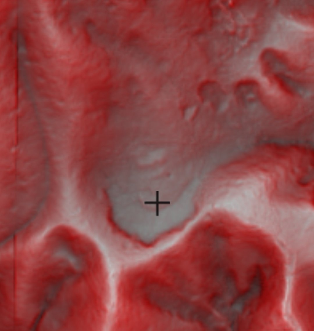 しまきう＠熊に返り血を浴びせるひよ子猟師 tweet media