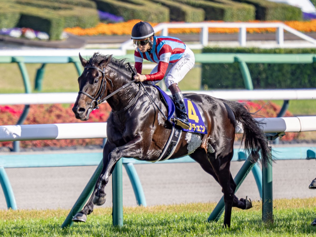 ななし tweet media