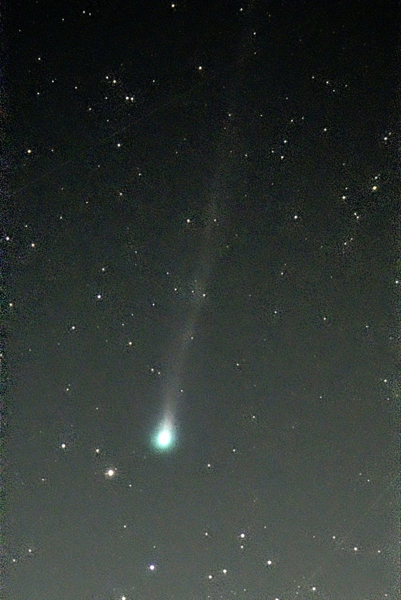 cookie831115036's tweet image. #パンスターズ彗星 #C2025R3 #Panstarrs
MAPS彗星に話題が行きがちで、パンスターズ彗星の撮影が出遅れた感がありました。そして尾が長く伸びる頃には、天候に恵まれず短期間の彗星Chaseとなってしまいました。
最初が4/1早朝、最後が4/9早朝でした。その後の撮影が無いのが残念！