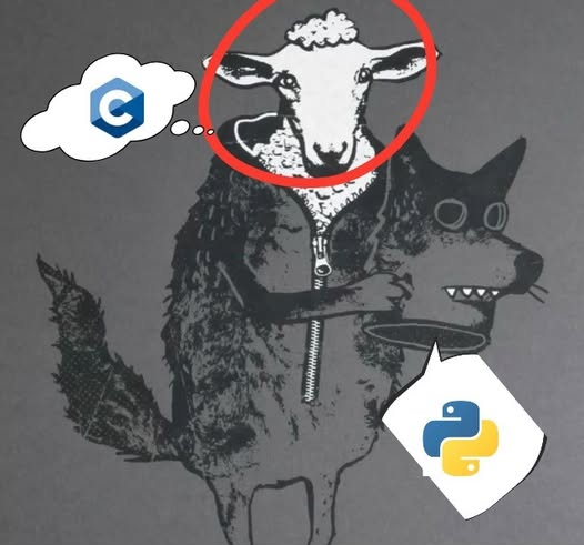 Python Developer tweet media