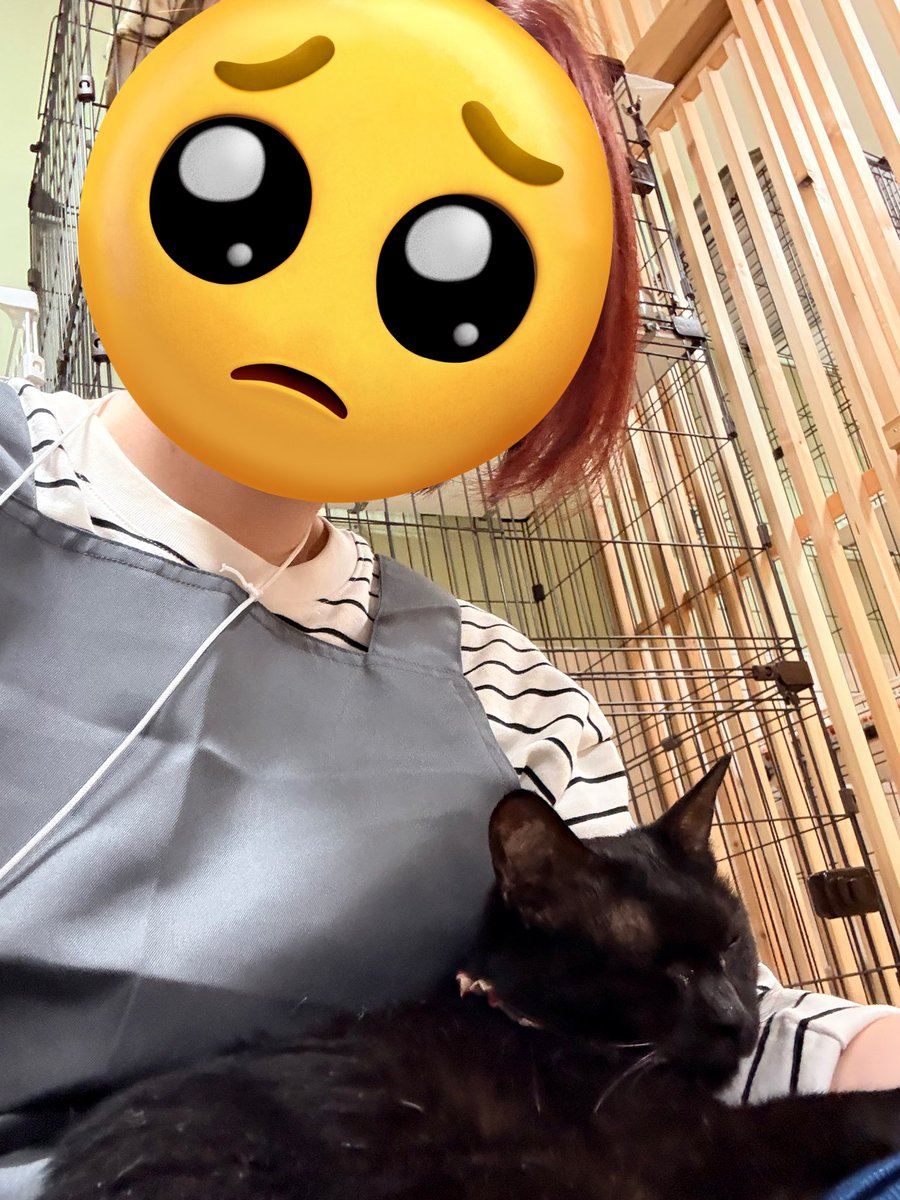 ピヨ彦とかいぬし｜むしゃのん tweet media