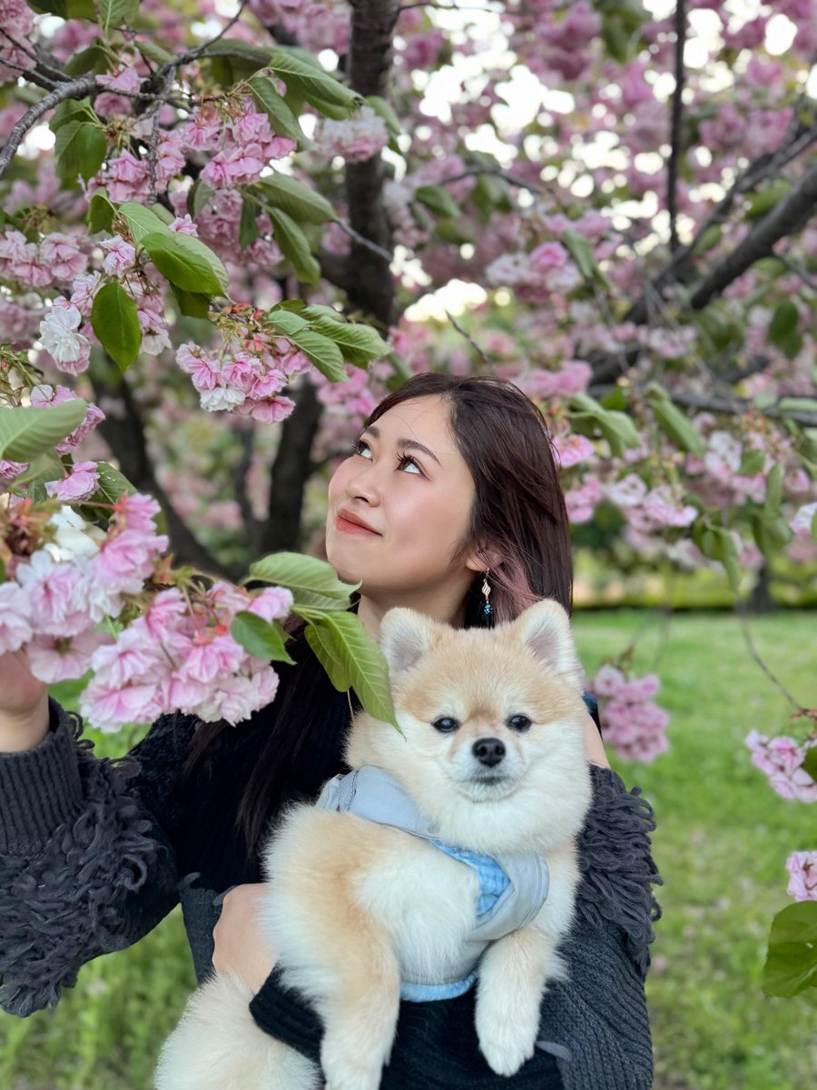 1zujyo10's tweet photo. 暖かくなってきたけど
八重桜とかはまだ見れますね🌸 https://t.co/LoMYIq5S7k