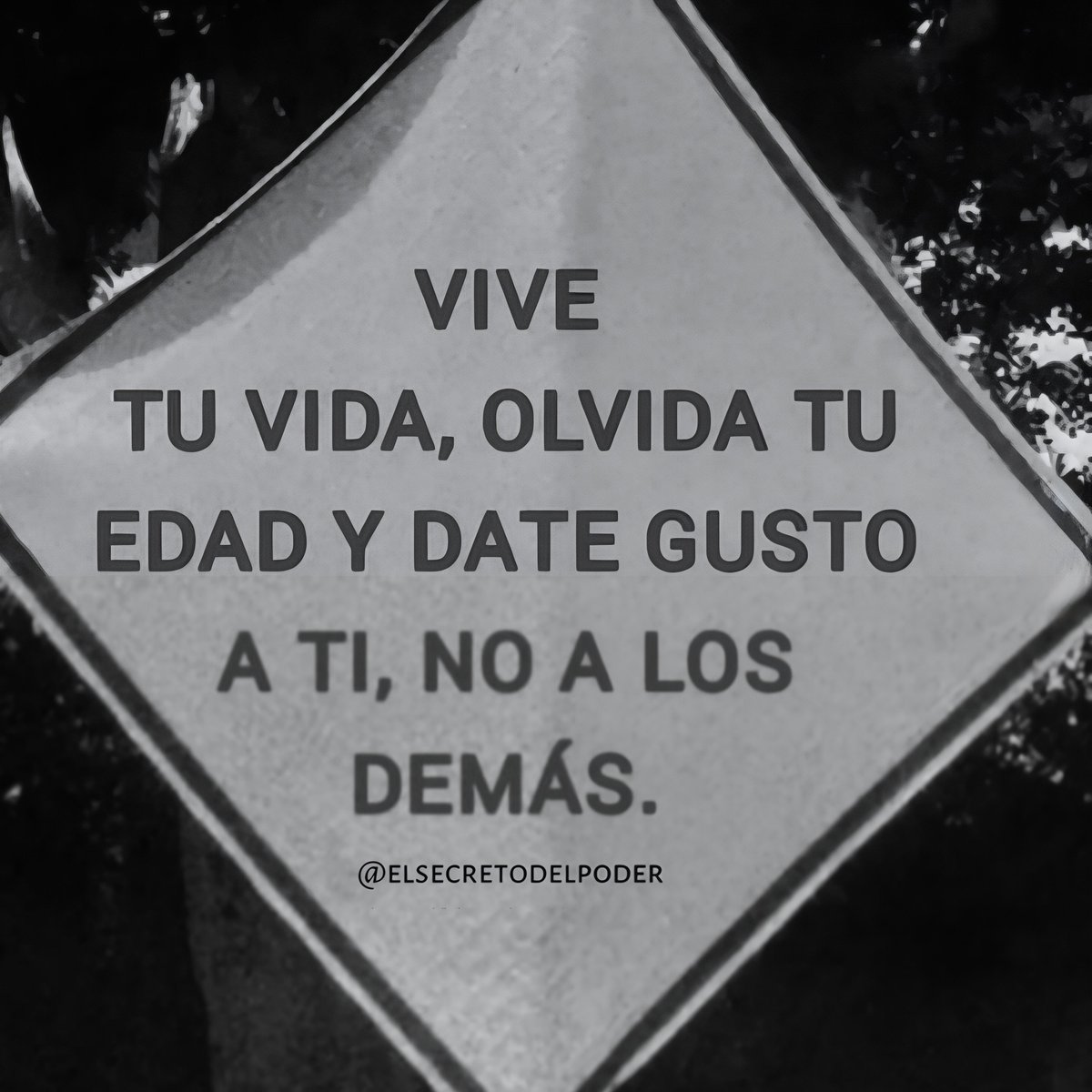 secretodelpoder's tweet photo. El reloj no define tu potencial. ⏳
Rompe el guion que la sociedad te impuso. Estás aquí para cumplir tus propias expectativas, no para encajar en el molde de otros.
#Autenticidad #Libertad #ViveTuVida #ElSecretoDelPoder https://t.co/zrD4FS9DIm