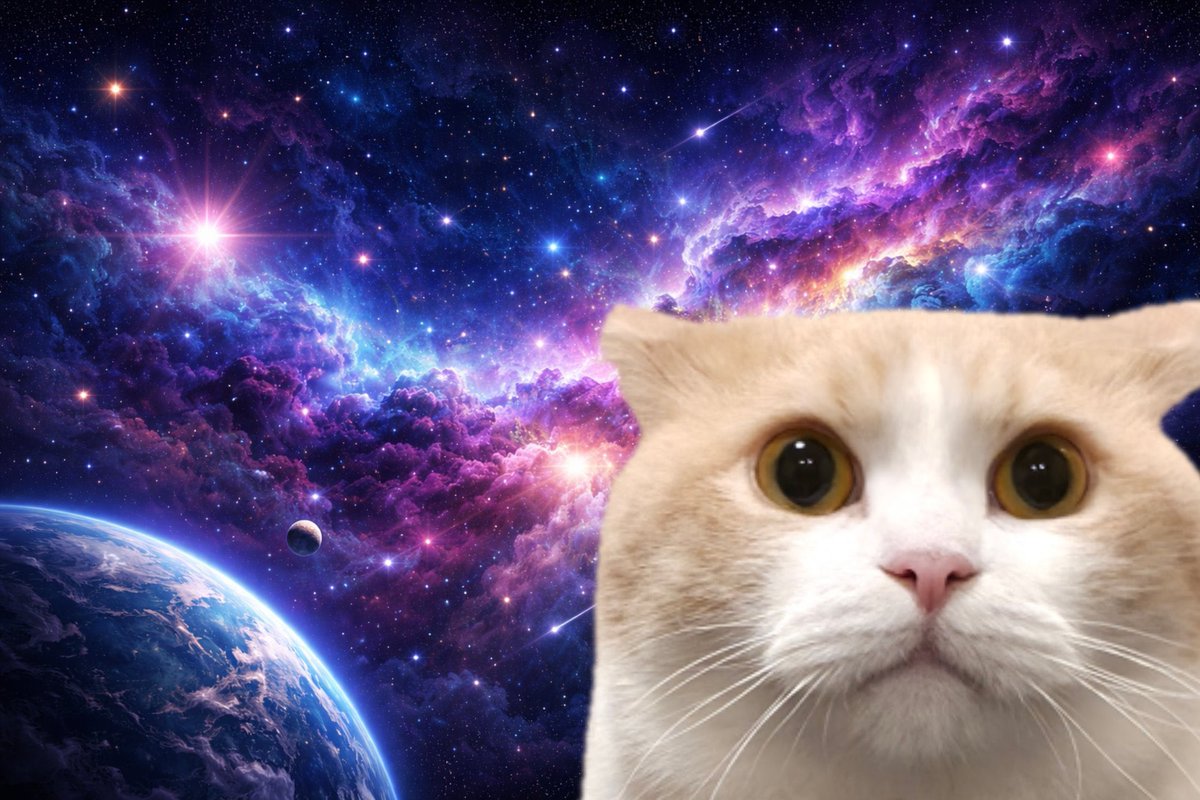 名無詩 tweet media