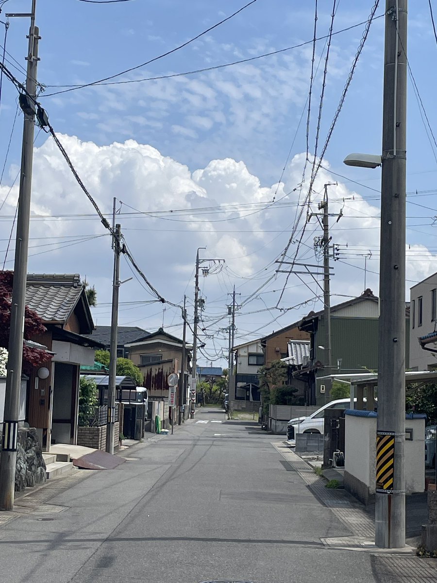 棚瀬和重 tweet media