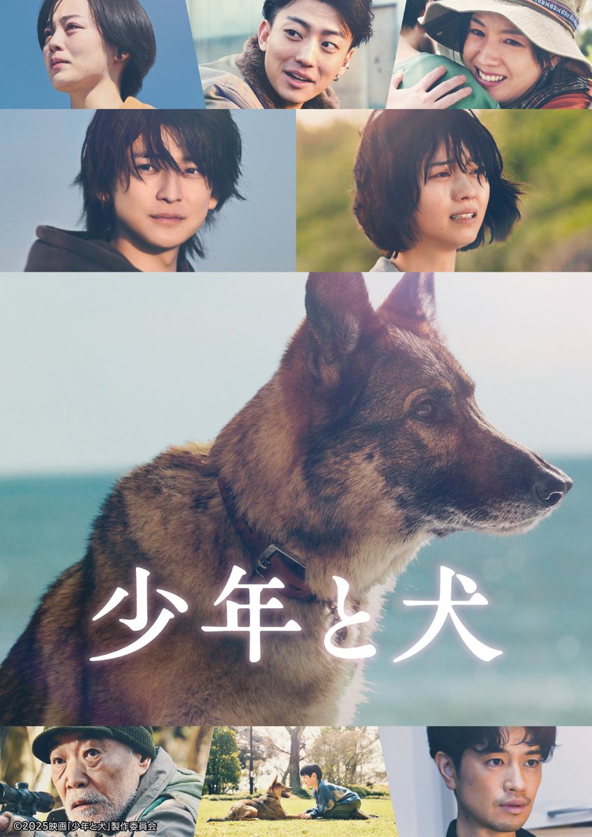 PrimeVideo_JP's tweet photo. 〈高橋文哉〉×〈西野七瀬〉
『少年と犬』
見放題独占配信開始

1匹の犬《多聞》が
大切な人に会うため
日本を縦断する旅路で出会った、
傷つき、悩み、惑う人々との心の交流。

『ラーゲリより愛を込めて』製作陣が
人間と犬のかけがえのない絆を描き出す🐕

視聴はこちら👇
https://t.co/fDoTUIQFsn https://t.co/4X8qQ2trKL