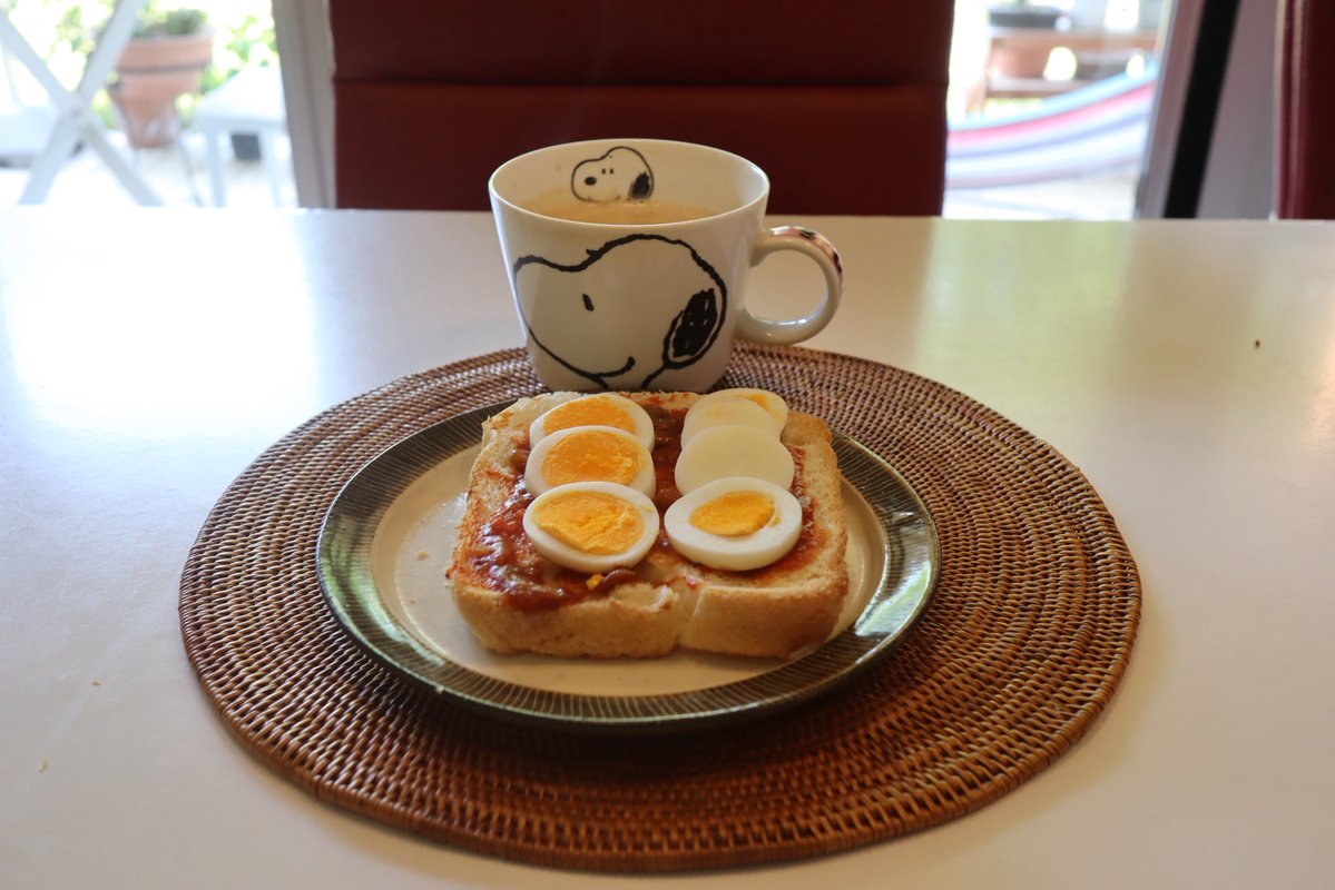 MELTONE🐕🐈❤️🚶🏻‍♀️ tweet media