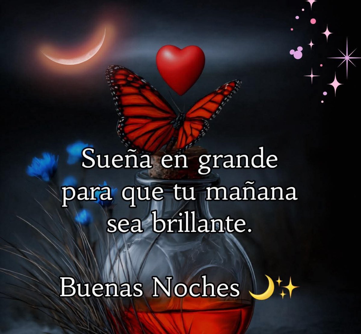 AraceliTerrazGo's tweet photo. Bonita noche !!! https://t.co/gjXwhj4OB0