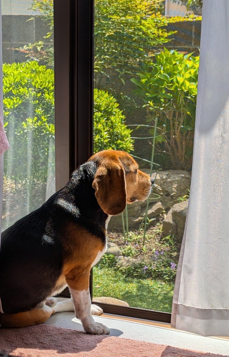 ともぞう tweet media