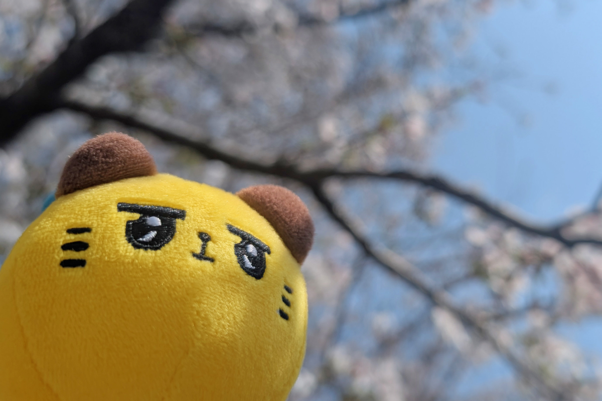 東京ばにゃ奈 (@tokyobanyana) on Twitter photo 