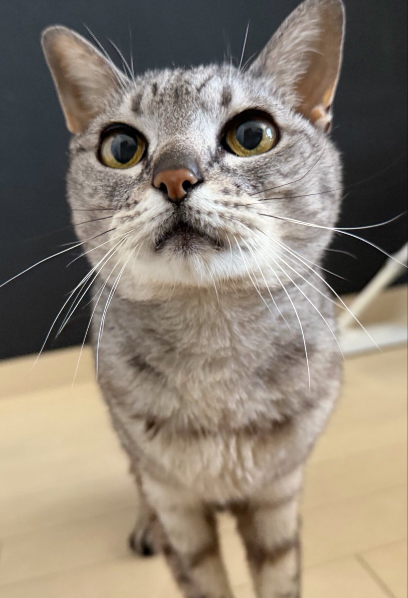 chihiro manson🜸 tweet media