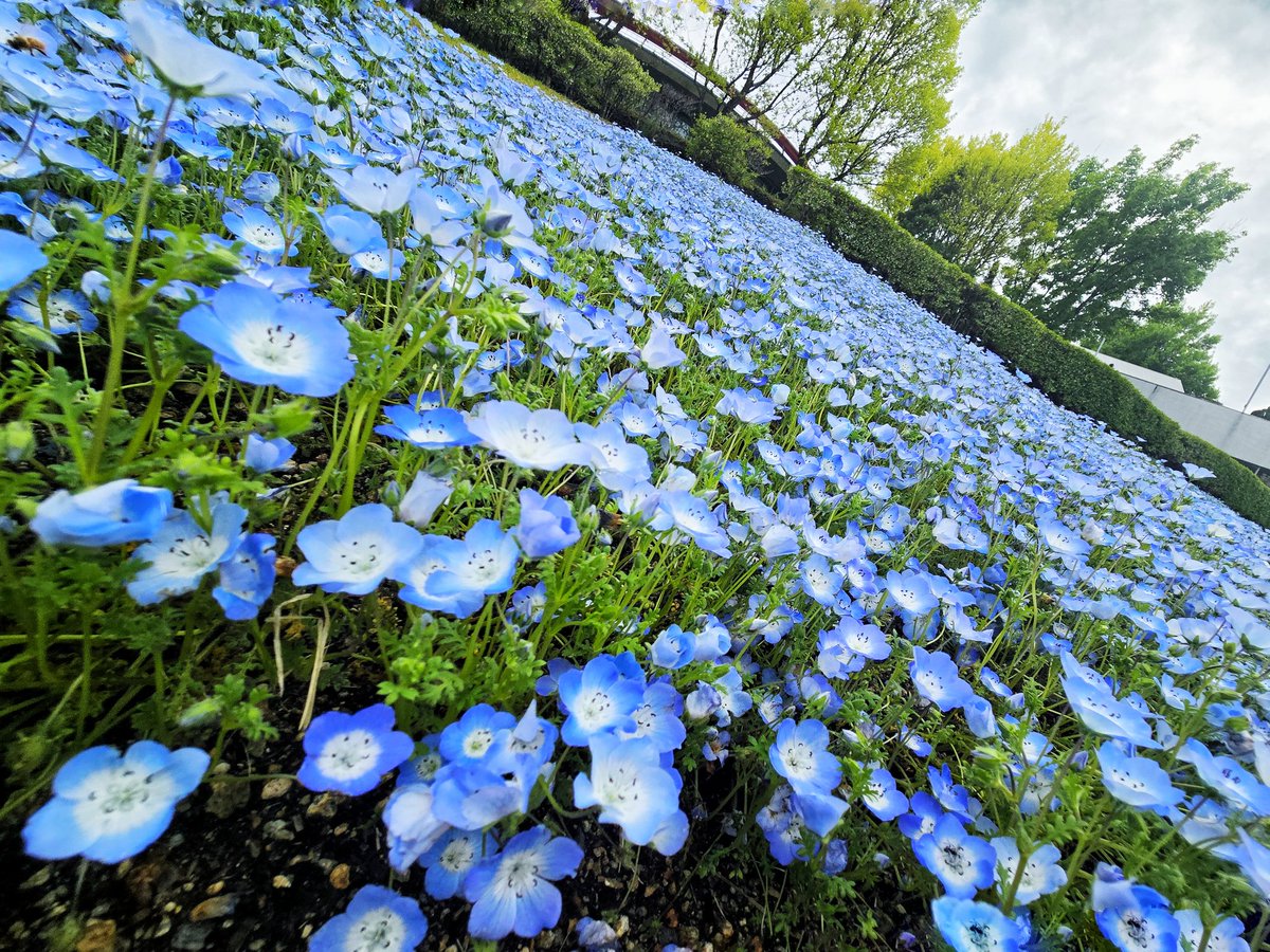 ふゆこ☃️ tweet media