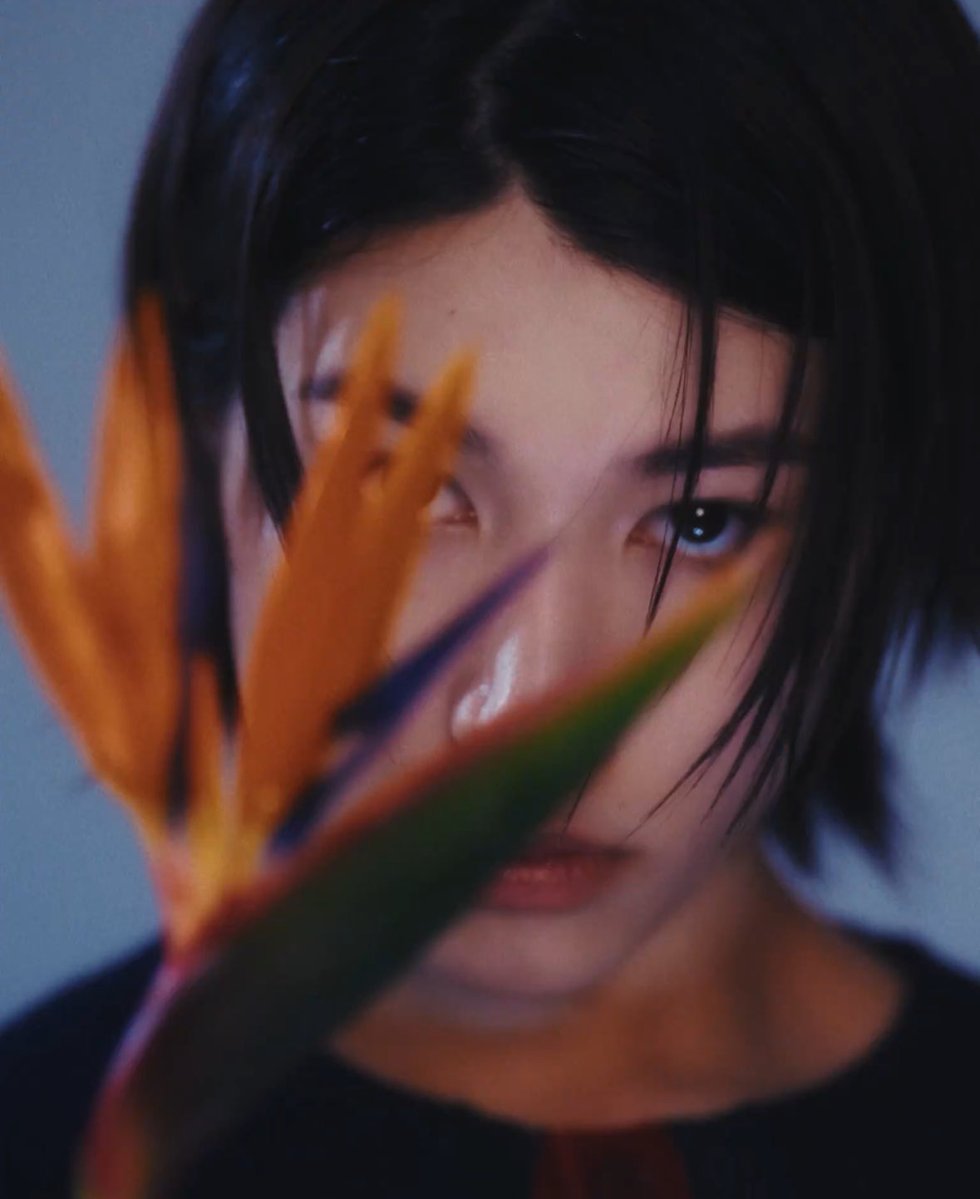 clown4sho's tweet image. Elliot Jiho Jourdain Im Louis, can’t believe dujjonku and junk food could make someone looking so damn fine like this😧😧😧😧 (lovingly)

#LOUIS #루이