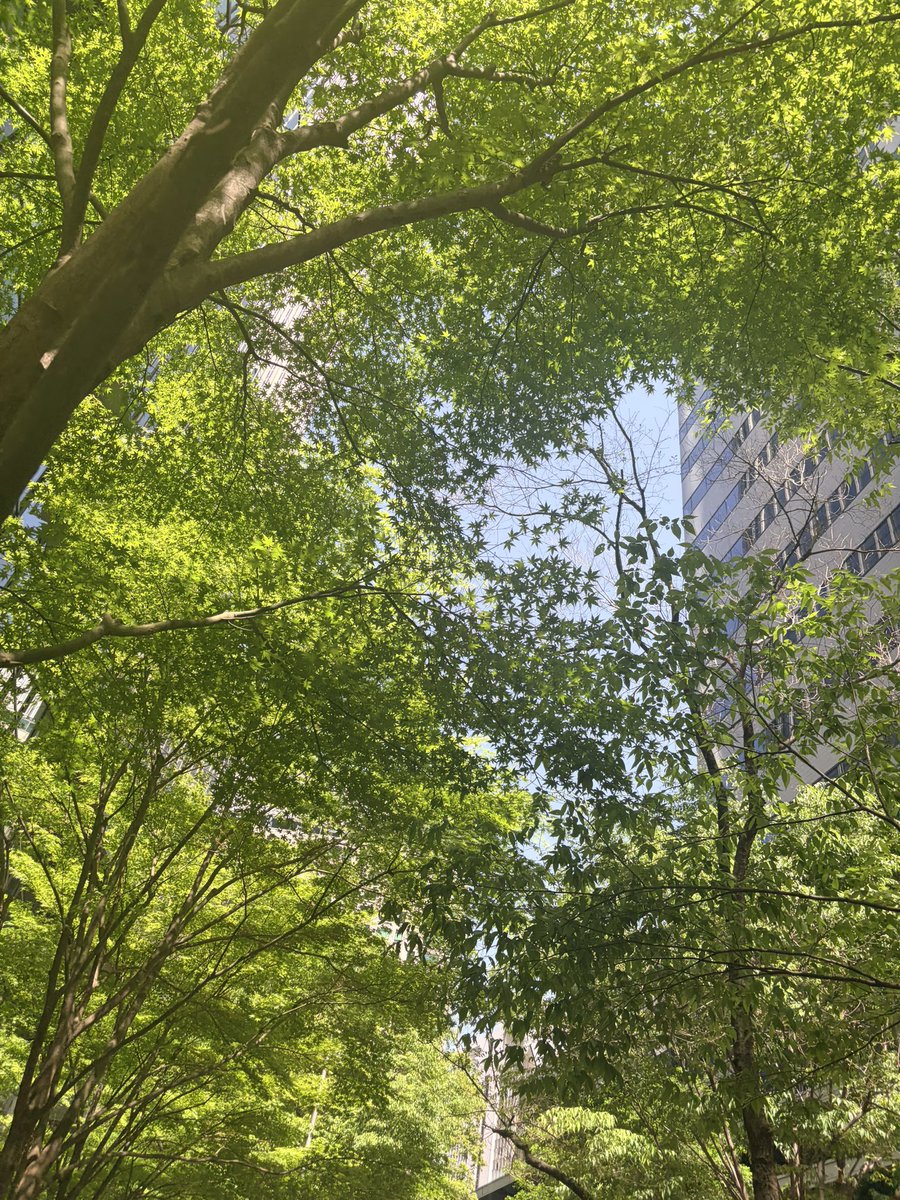 亜唯子 tweet media