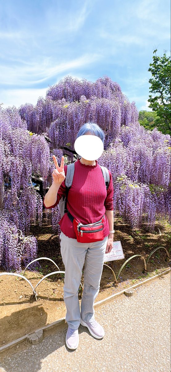 ♛ともちい🌸❤️‍🩹 tweet media