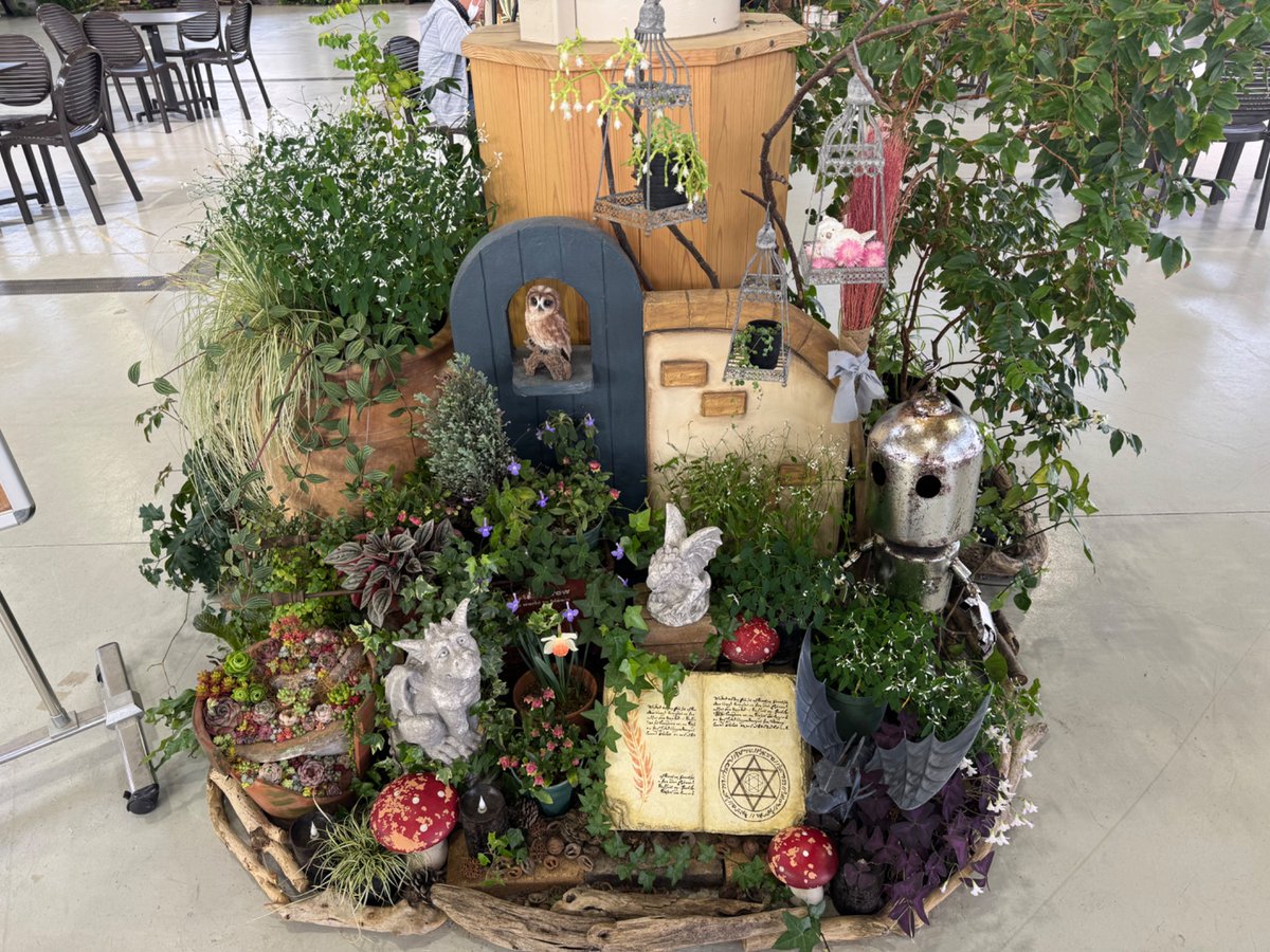 ちぇる tweet media