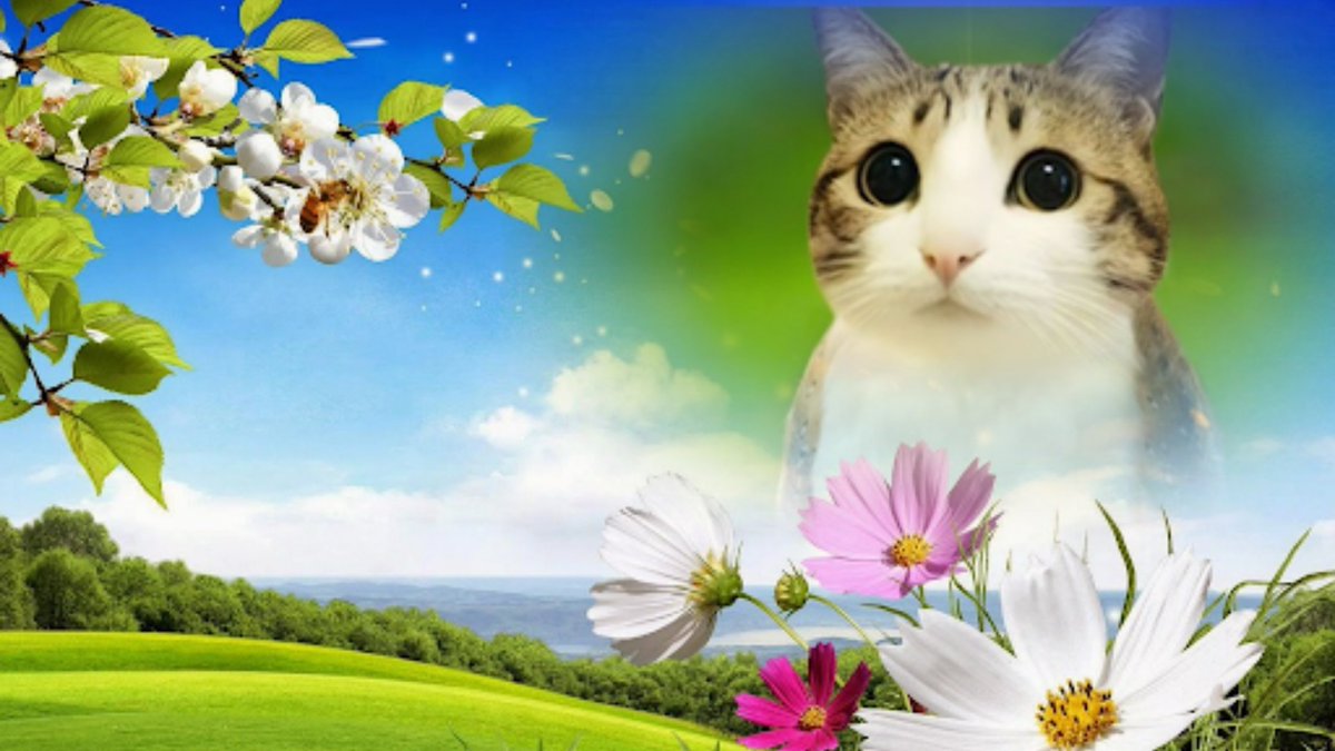 ビクター/victor (@impolvict) on Twitter photo 