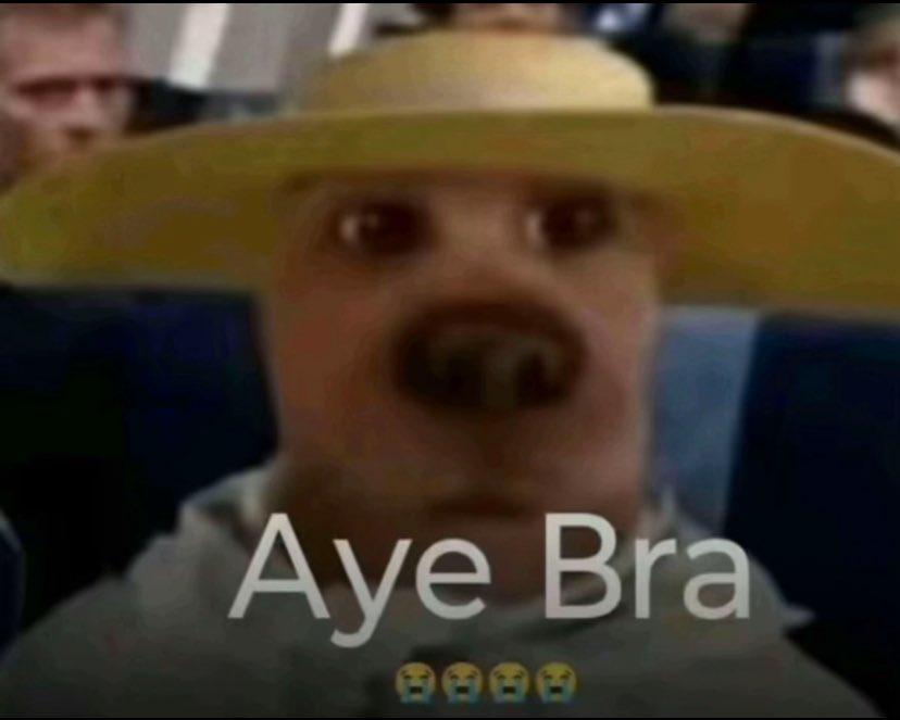 JNKfrmda3t8🇨🇦 tweet media