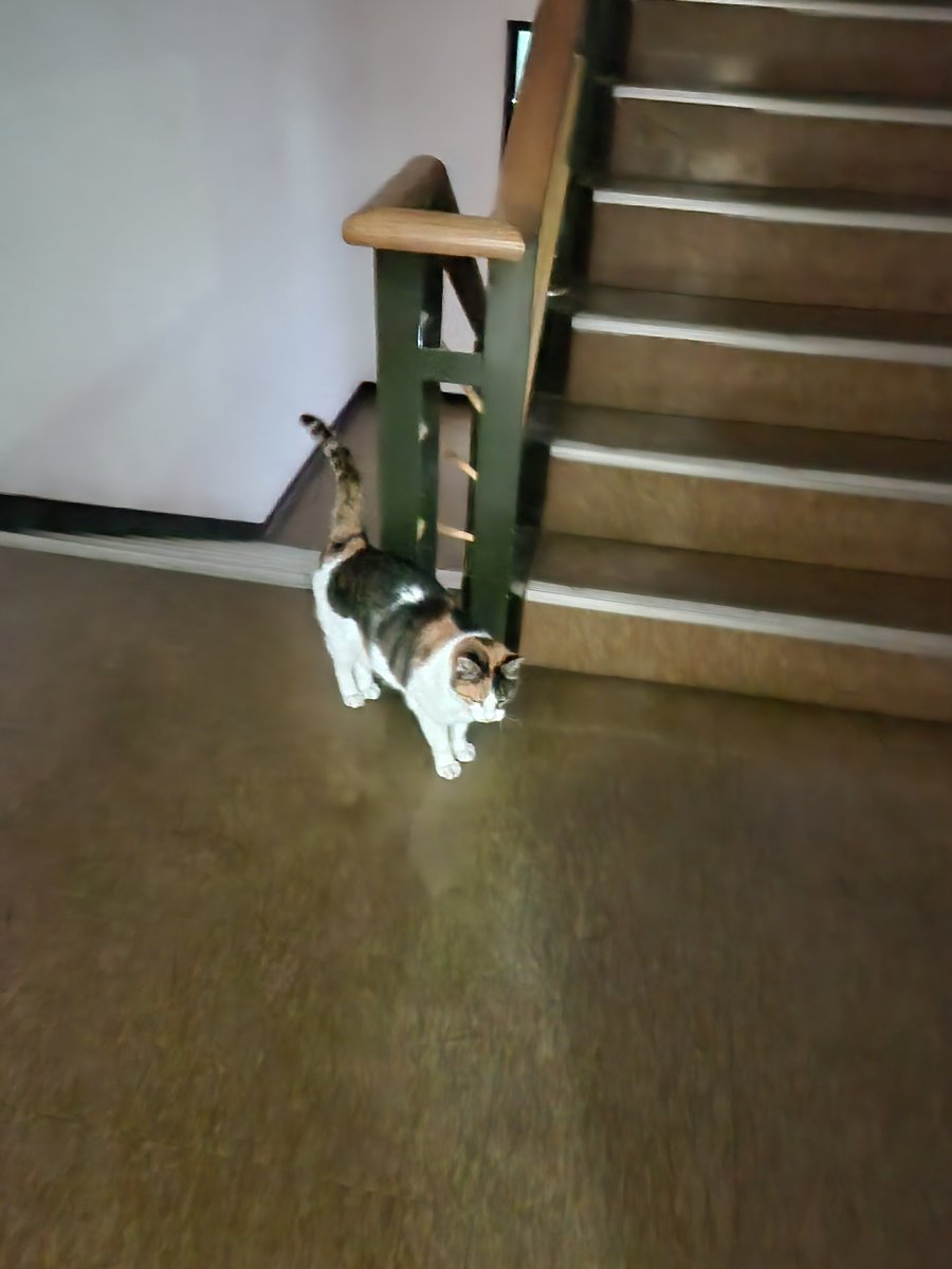 초샌쿠 tweet media