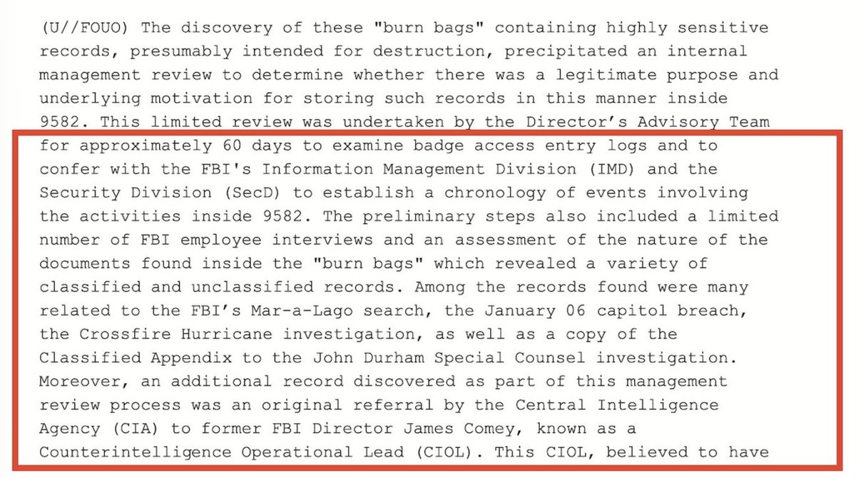 Svetlana Lokhova tweet media