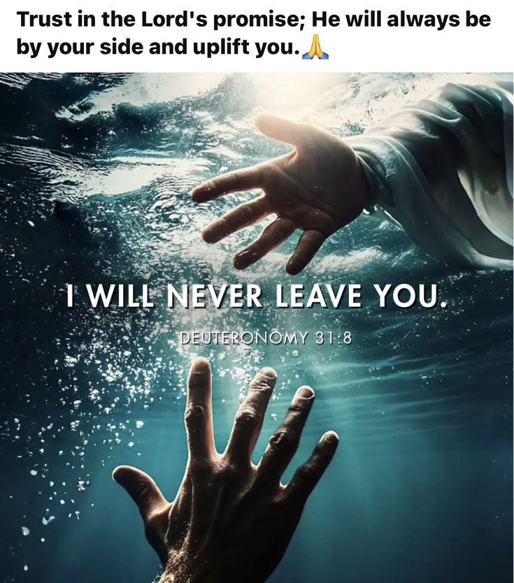 lifefound tweet media