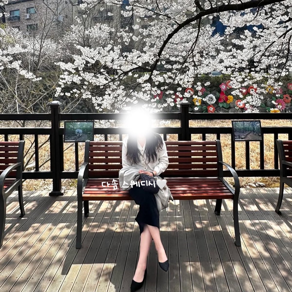 다솜스웨디시 tweet media