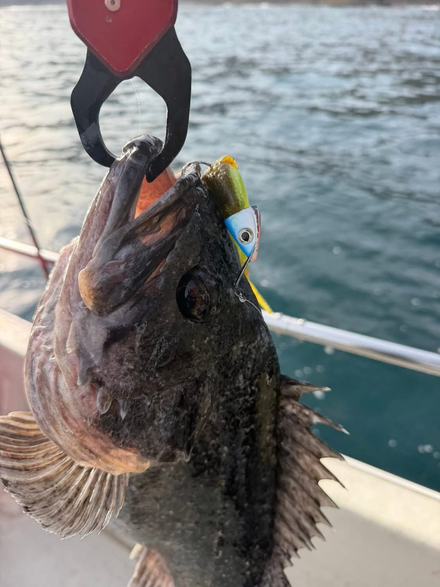 ほぼワンキャストワンヒット￼！