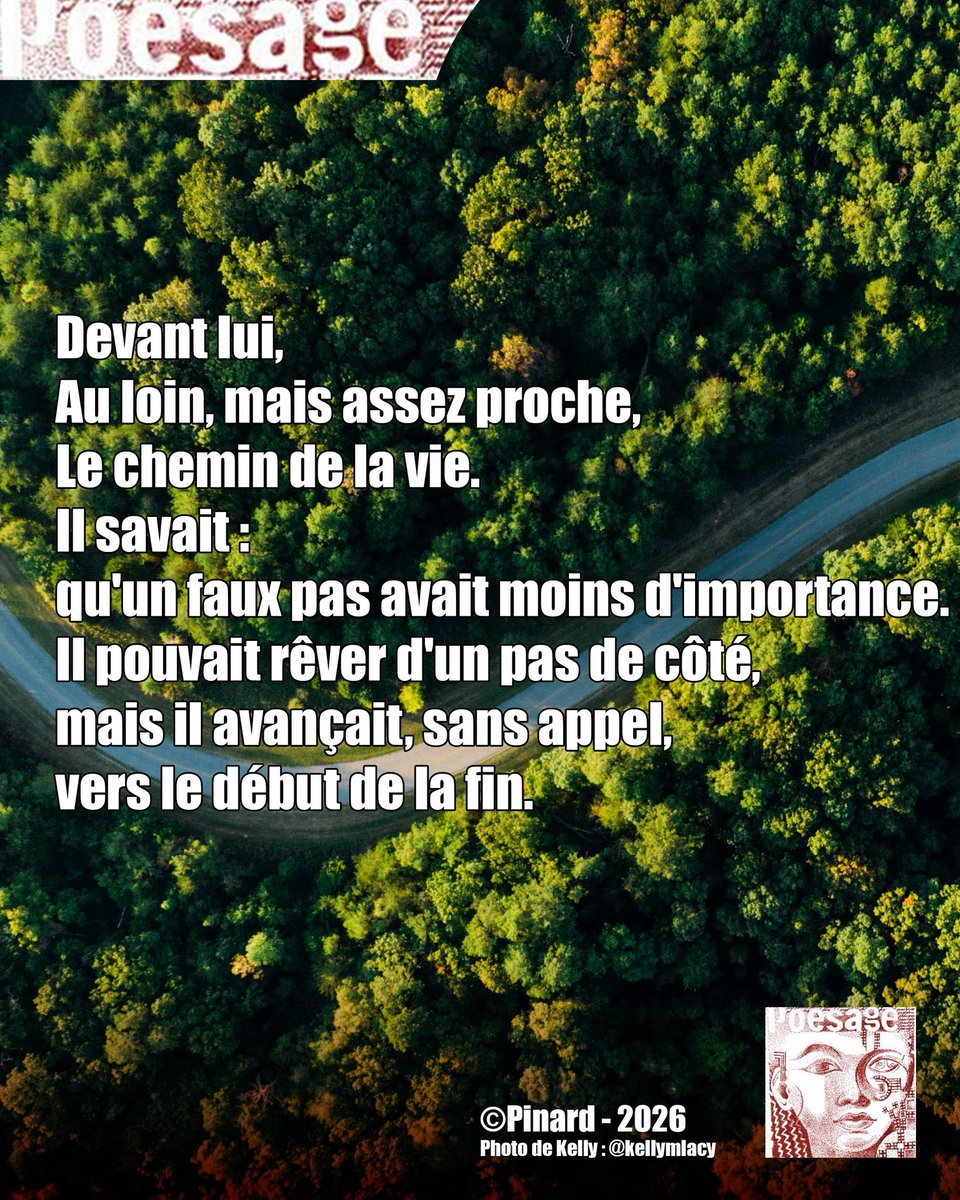 poesage_27's tweet photo. Devant lui,
Au loin, mais assez proche,
Le chemin de la vie.
Il savait :
qu'un faux pas avait moins d'importance.
Il pouvait rêver d'un pas de côté,
mais il avançait, sans appel,
vers le début de la fin.

©Pinard - 2026
Photo de Kelly : @kellymlacy

#route #vie #chemin #pas https://t.co/27RwruzqLk
