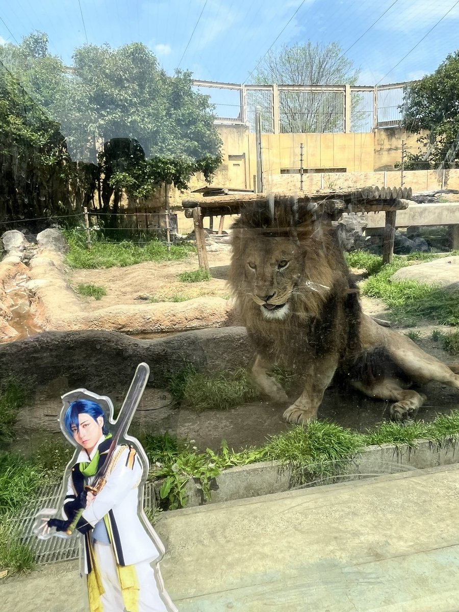s_26_2_'s tweet photo. 「あの虎を仕留めろって言ったのはアンタだ！！」 https://t.co/Ijs4zLTz3b