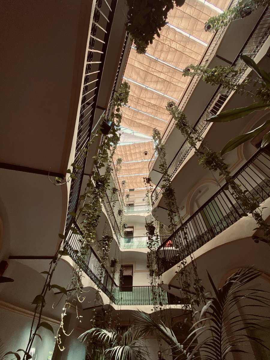 jordi torres i rosique tweet media