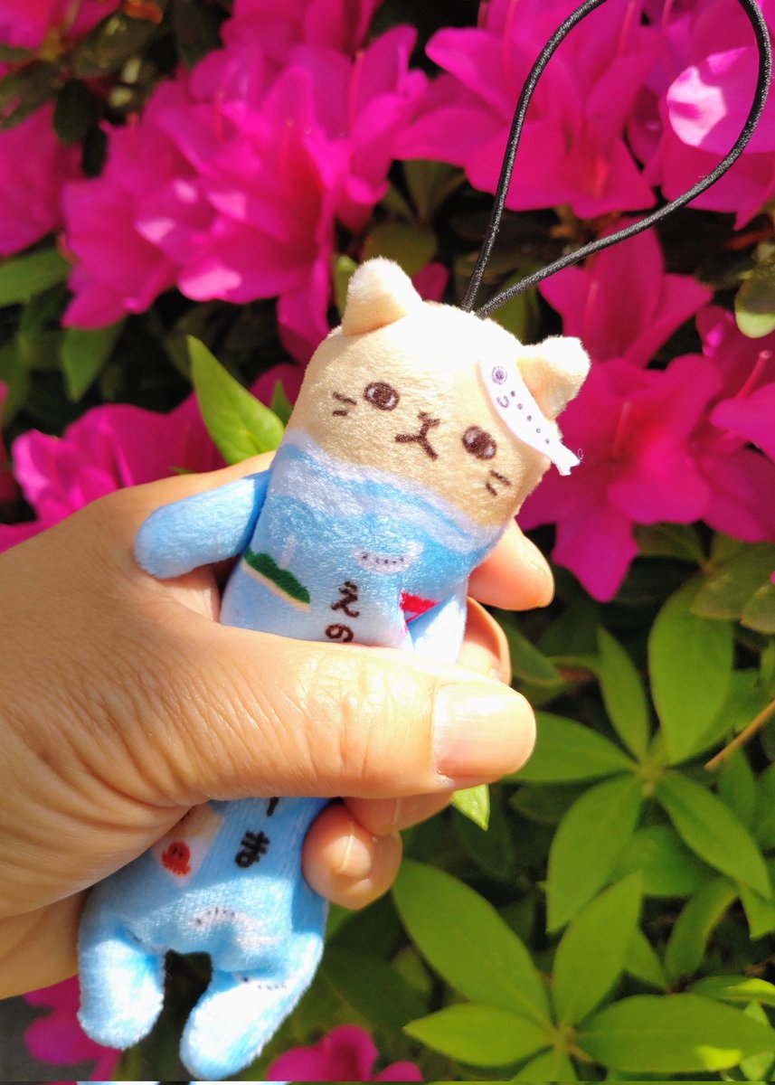 makaron2156's tweet image. いつの間にか空が晴れ渡ってる✨
お守りのブルーののびねこ🩵を、
握りしめて…いざ‼️

のびねこ🩵の
お顔をじっと見ていると…
お師匠のお顔に見えてくる🤭✨💕
怖くない🙂‍↔️

#オカダユータ
#Blue×Blue
#Fight