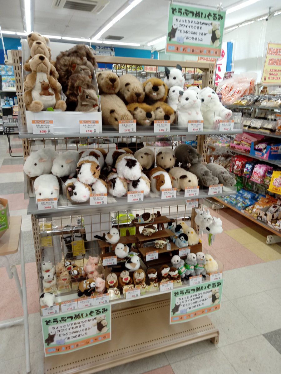 文真堂書店上中居店 tweet media