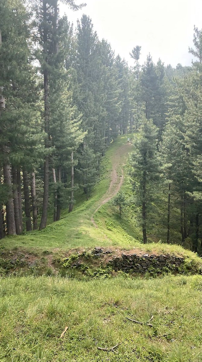 Pakistan Tourism tweet media