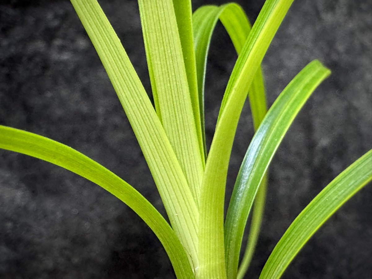 モレ吾郎@M.R.G.R since2020 tweet media