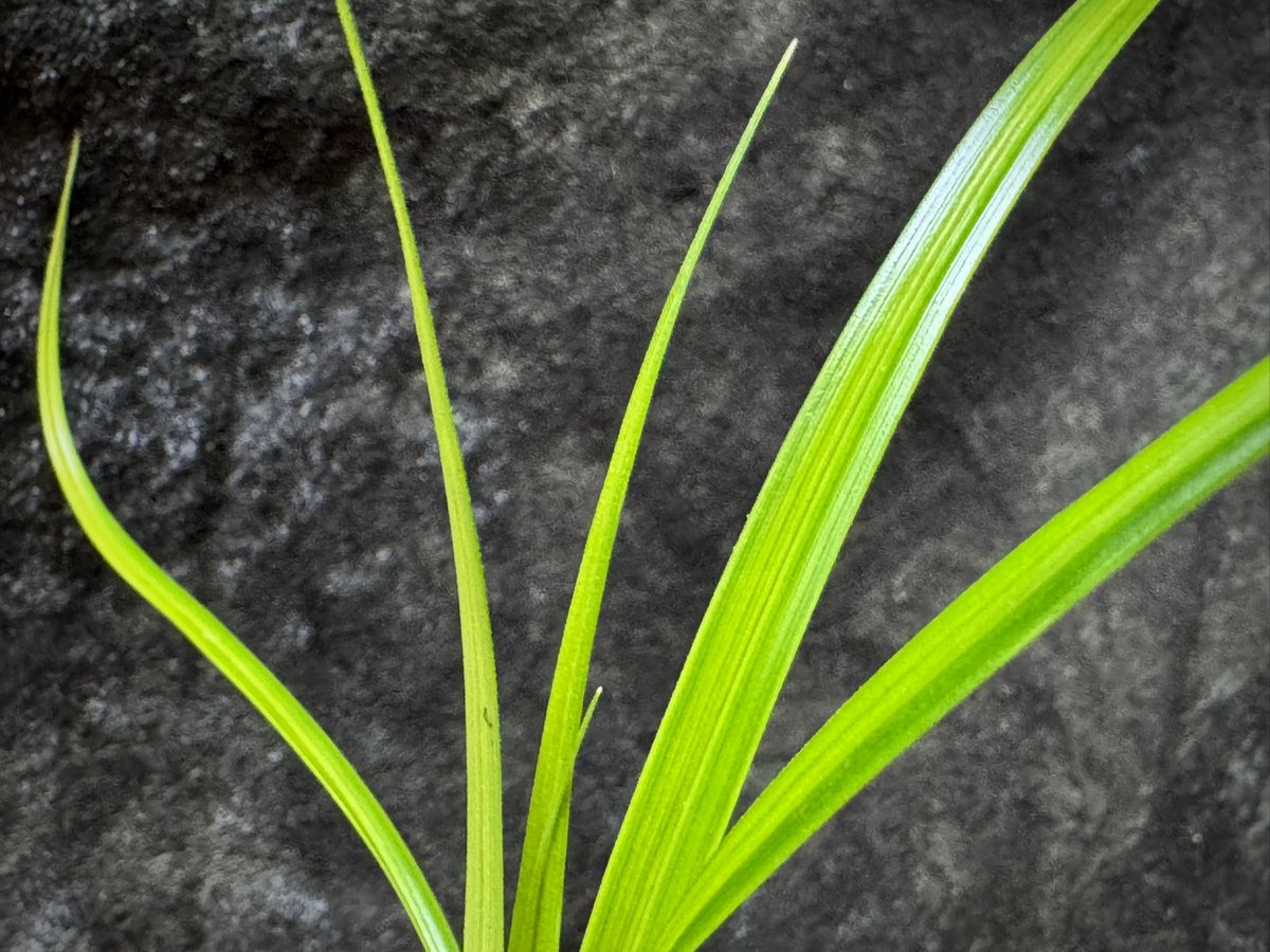 モレ吾郎@M.R.G.R since2020 tweet media