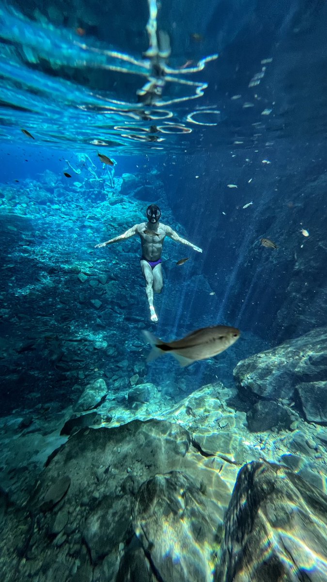 naoseioquetofazendoaqui tweet media