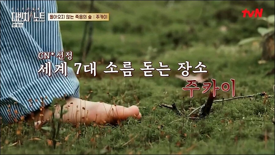 여왕개미 tweet media