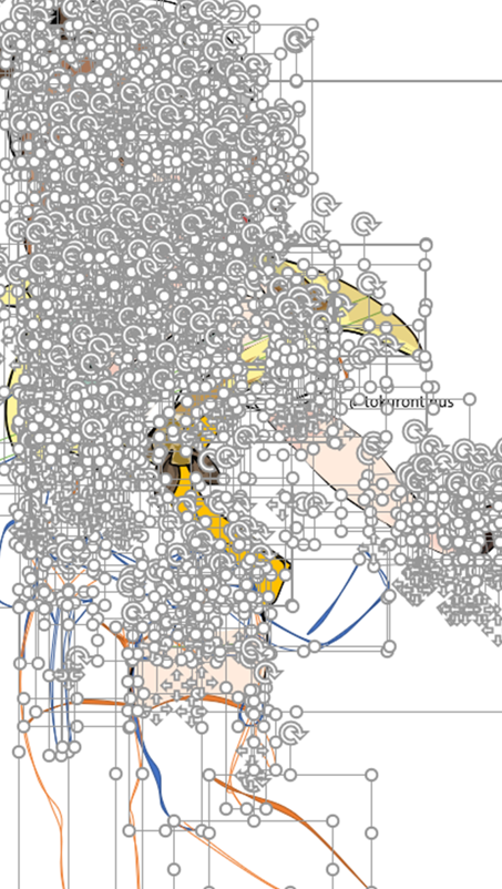 トクロンティヌス tweet media
