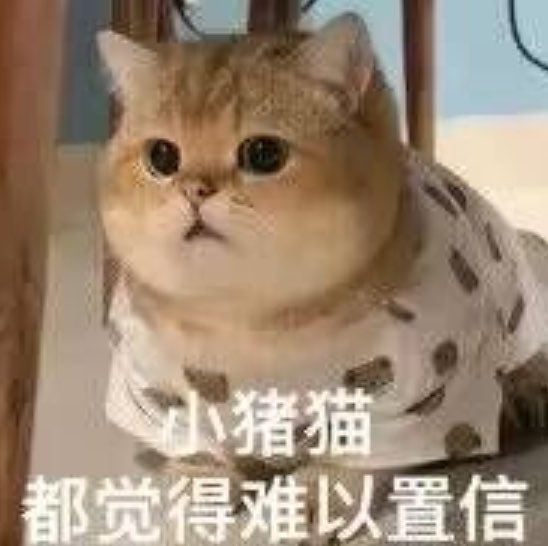 观阮 tweet media