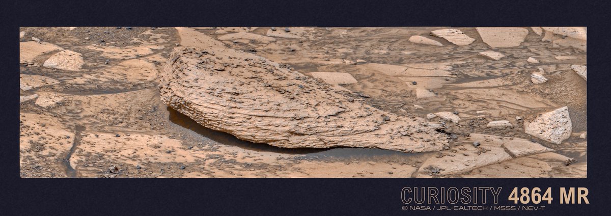 NEVT60138024's tweet image. 🟠 MSL 4864 MR © NASA/JPL-Caltech/MSSS/NeV-T

Q-VIEW - live.staticflickr.com/65535/55218720…
Gigapan - gigapan.com/gigapans/238956
GIGAmacro - viewer.gigamacro.com/view/5lN11D2vZ…
Gigapan Website - nev-t-gigamacros.com
#Mars #science #NASA